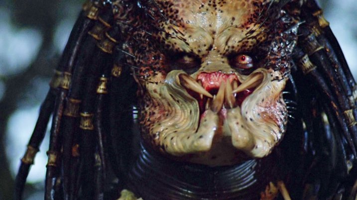 ThePhantomastic's tweet photo. El otro día hablé del ciclo de vida de los xenomorfos, de modo que hoy es el turno de otra de las grandes criaturas del cine de terror y ciencia ficción.

Vamos allá con los yautjas, mejor conocidos como depredadores. Los rangos los dejaré para otra ristra. ¡Al lío! 🧵🧵 https://t.co/doyK7CWDJb