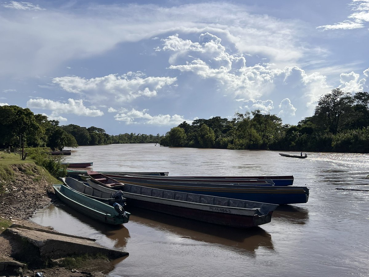 Paco Café tweet media