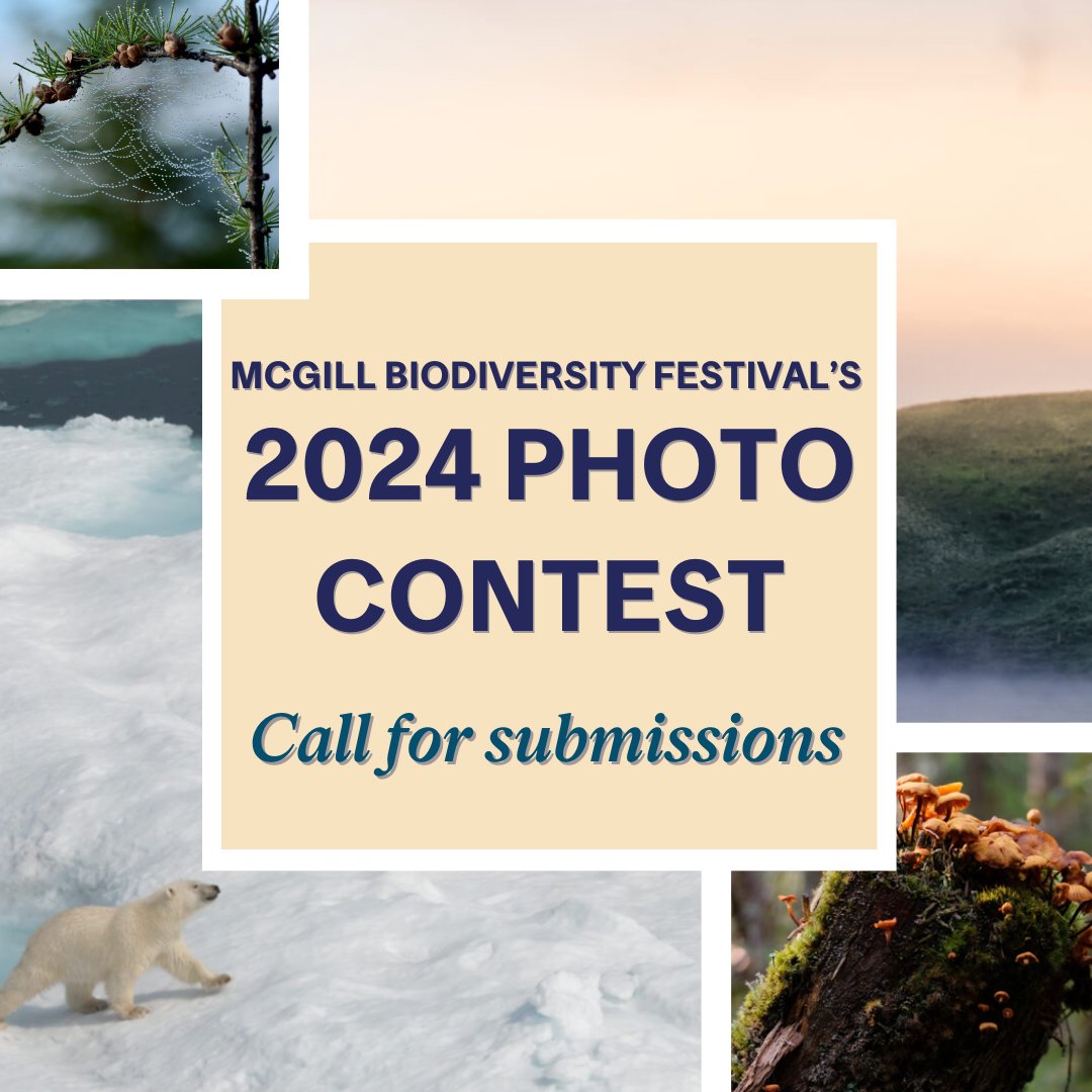 CSBQ-QCBS (@csbq_qcbs) on Twitter photo 🌿The 2024 <a href="/mcgillu/">McGill University</a> Biodiversity Photo Contest is here! 📸
Submit your best fauna 🦊, flora 🌸, or landscape 🏔️ photos by Sept 11th at 11:59pm.
👉Open to all members of the McGill community.
📅Details and submission guidelines can be found on our website : mcgill.ca/sustainability… 🌿The 2024 <a href="/mcgillu/">McGill University</a> Biodiversity Photo Contest is here! 📸
Submit your best fauna 🦊, flora 🌸, or landscape 🏔️ photos by Sept 11th at 11:59pm.
👉Open to all members of the McGill community.
📅Details and submission guidelines can be found on our website : mcgill.ca/sustainability…