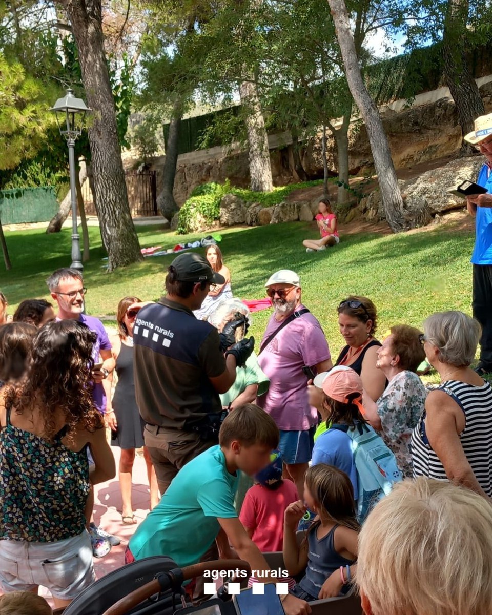 agentsruralscat's tweet photo. 🏊♀️Alliberem en un dia 18 ocells rapinyaires protegits a les piscines de 16 municipis de Les Garrigues.
🦉Es tracta de xoriguers i exemplars de mussol banyut i mussol comú del #CentreFauna Vallcalent.
🎓En el marc d'una marató d'educació ambiental d'estiu del programa EduCAR. https://t.co/c3LYr4Awpm
