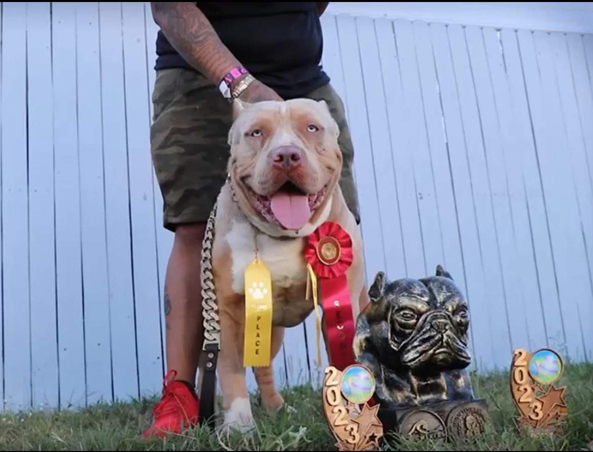 🥶Charles strong Jr 🥶 tweet media