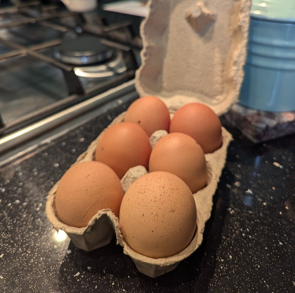 Today, a wonderful patient gave me some freshly laid eggs and showed me a day old baby cow on their farm 🐮🤍 #choosepsychiatry #oldagepsychiatry