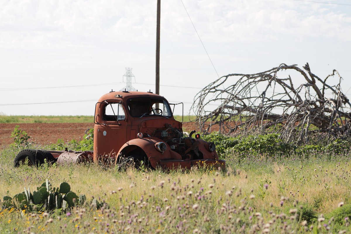 theAzureMuse's tweet image. Let's share our best #OldCar captures, either in mint condition or rusty.