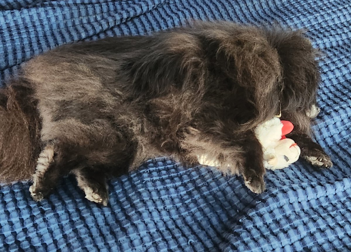 Mrs.Corny tweet media