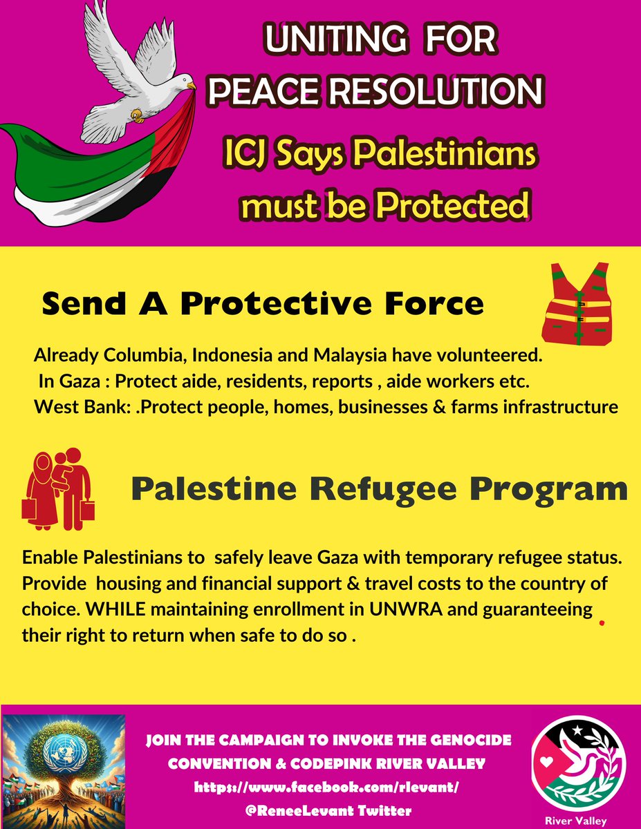 ReneeLevant's tweet image. Here is what I believe (open to any ideas lol) 
Only a United PLO and the willingness to stand up against the USA brining a #UnitingForPeace resolution can stop it . We all know the genocidal team  US and Israel are not going to “negotiate “ an end to genocide, they must be…