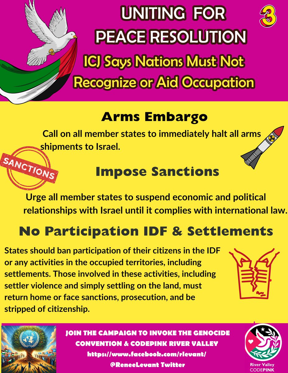 ReneeLevant's tweet image. Here is what I believe (open to any ideas lol) 
Only a United PLO and the willingness to stand up against the USA brining a #UnitingForPeace resolution can stop it . We all know the genocidal team  US and Israel are not going to “negotiate “ an end to genocide, they must be…