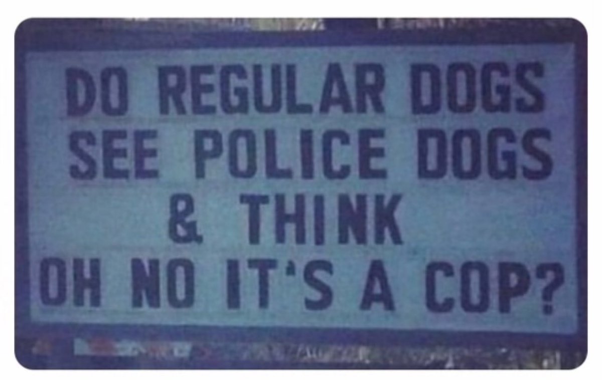 hardcorecomedy2's tweet image. ROVER, hide the milk bones!! Officer Charlie is coming and I think he's growling 👀