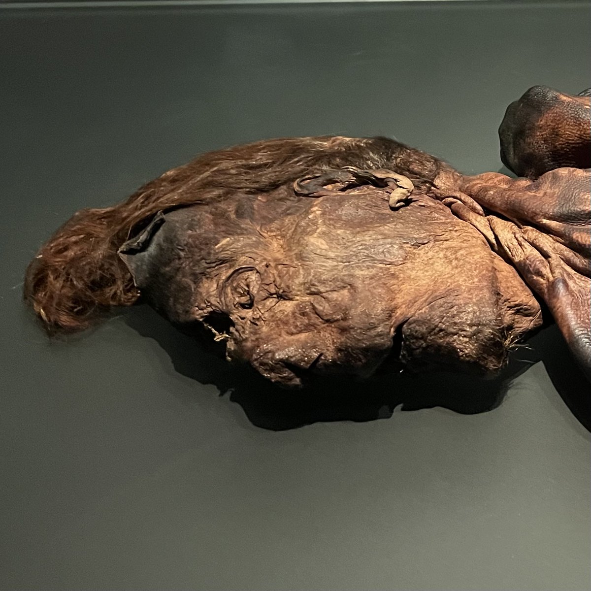 peatofmind's tweet image. Irish 🇮🇪 Peat Tour (Part 5)
The last day of the peat tour was spent at the kingship and sacrifice exhibit at the National Museum of Ireland.
"Wake Up Dead Man"
Irish bog bodies dated between 400 BC and 200 BC.
#PeatTwitter #BogBodies
