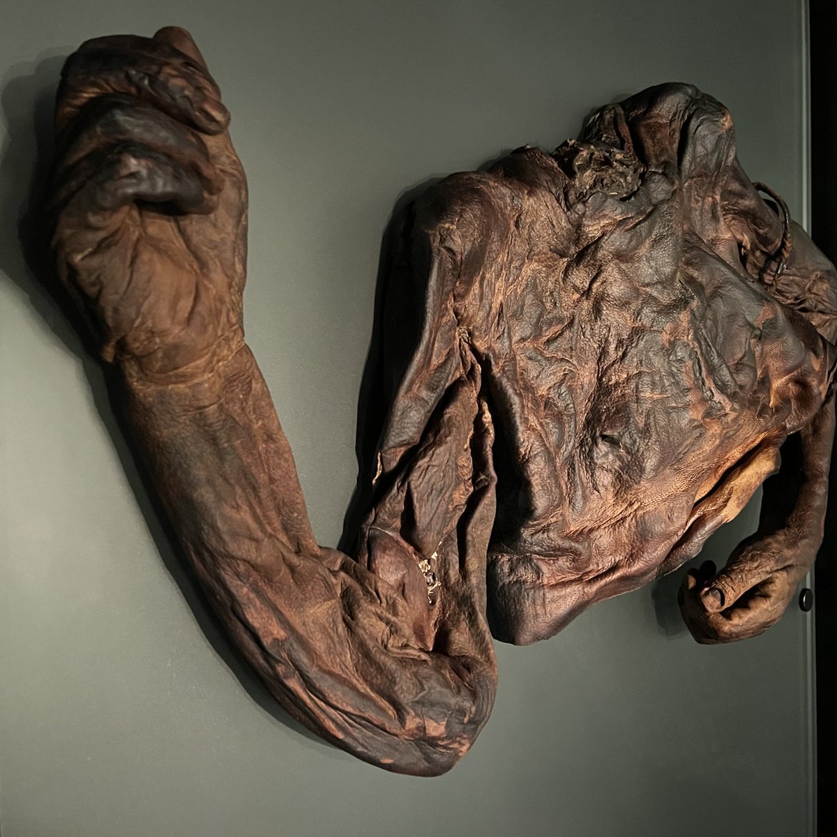 peatofmind's tweet image. Irish 🇮🇪 Peat Tour (Part 5)
The last day of the peat tour was spent at the kingship and sacrifice exhibit at the National Museum of Ireland.
"Wake Up Dead Man"
Irish bog bodies dated between 400 BC and 200 BC.
#PeatTwitter #BogBodies