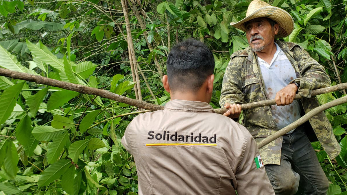 solidaridadMCA's tweet photo. La #AgriculturaClimáticamenteInteligente y la #AgriculturaRegenerativa no solo aumentan la #productividad de las parcelas de café, sino que también protegen el suelo, reducen la huella de carbono y promueven la #biodiversidad🌿.

¿Cuál es la diferencia?
🔗https://t.co/QVLfE9zMBl https://t.co/T2dZK6XlpI