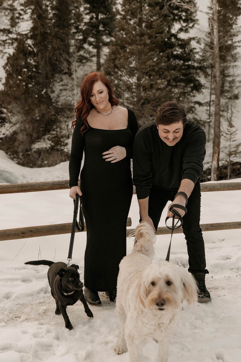 jentryjo's tweet image. can’t believe i missed wishing these cute pups a happy #nationaldogday this week! love this dynamic duo to the moon 🐾💕