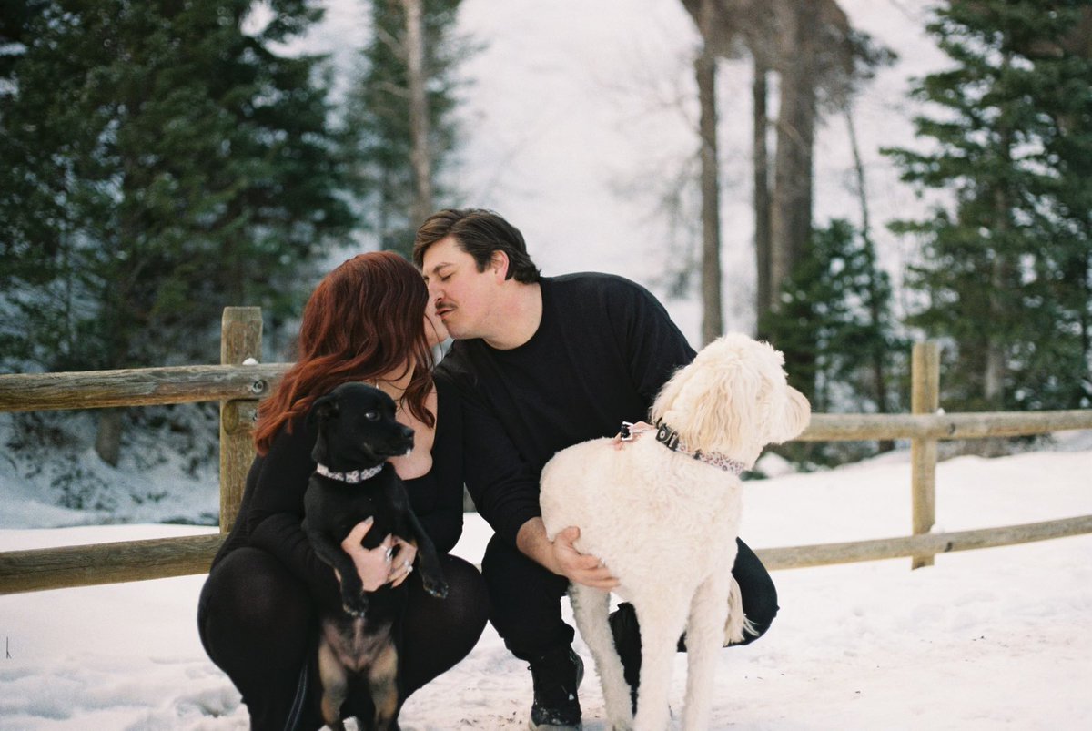 jentryjo's tweet image. can’t believe i missed wishing these cute pups a happy #nationaldogday this week! love this dynamic duo to the moon 🐾💕