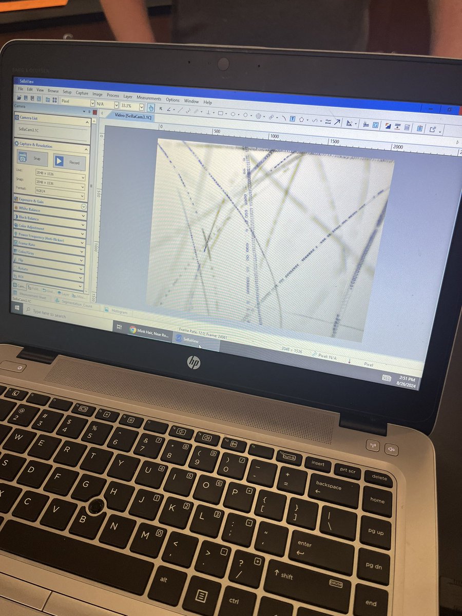 DrBrittCantrell's tweet photo. Hair and fiber analysis in forensic science @AllianceAI in @FCSchoolsGA with the fabulous Jessica Demerly π¬ #weDOscience #scienceforALL #scienceisaVERB @mercer_karl https://t.co/HzjXPlun6t