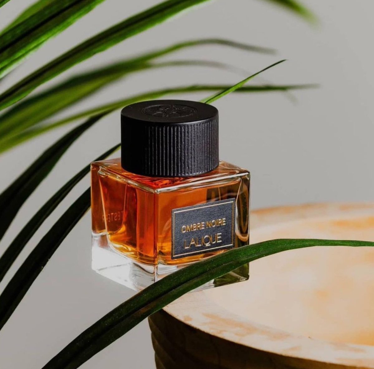 هناك بعض العطور تضع أنفك عليها 
ولا تصدق أن هذا عطر ديزاينر 
أو عطر بهذا الثمن
قد تضطر إلى مسح نضارتك 
أو فتح عيونك جيدا 
لتتأكد من سعره
هنا عطور اعتبرها صفقة رابحة 
نظرا للمحتوى في مقابل السعر 💰👍🏻
 #رابطة_عشاق_العطور