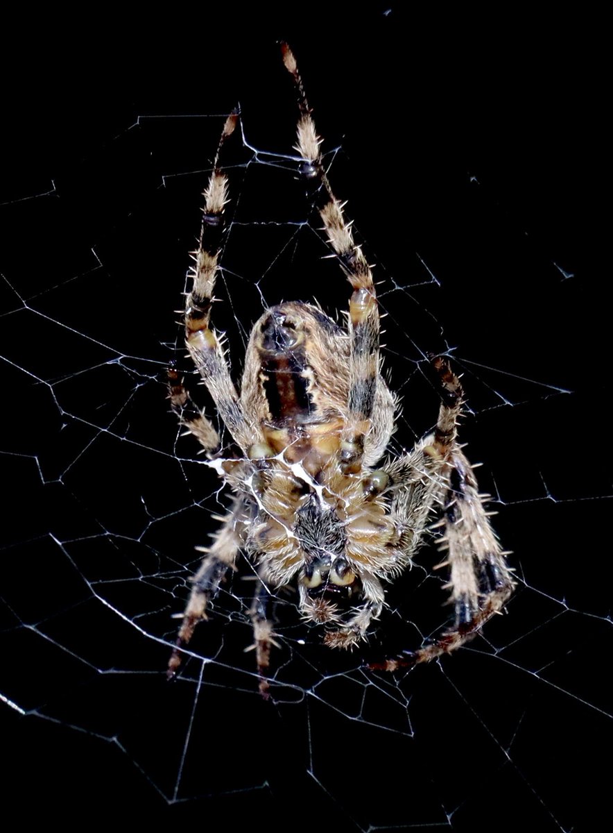 Dylan Williams tweet media