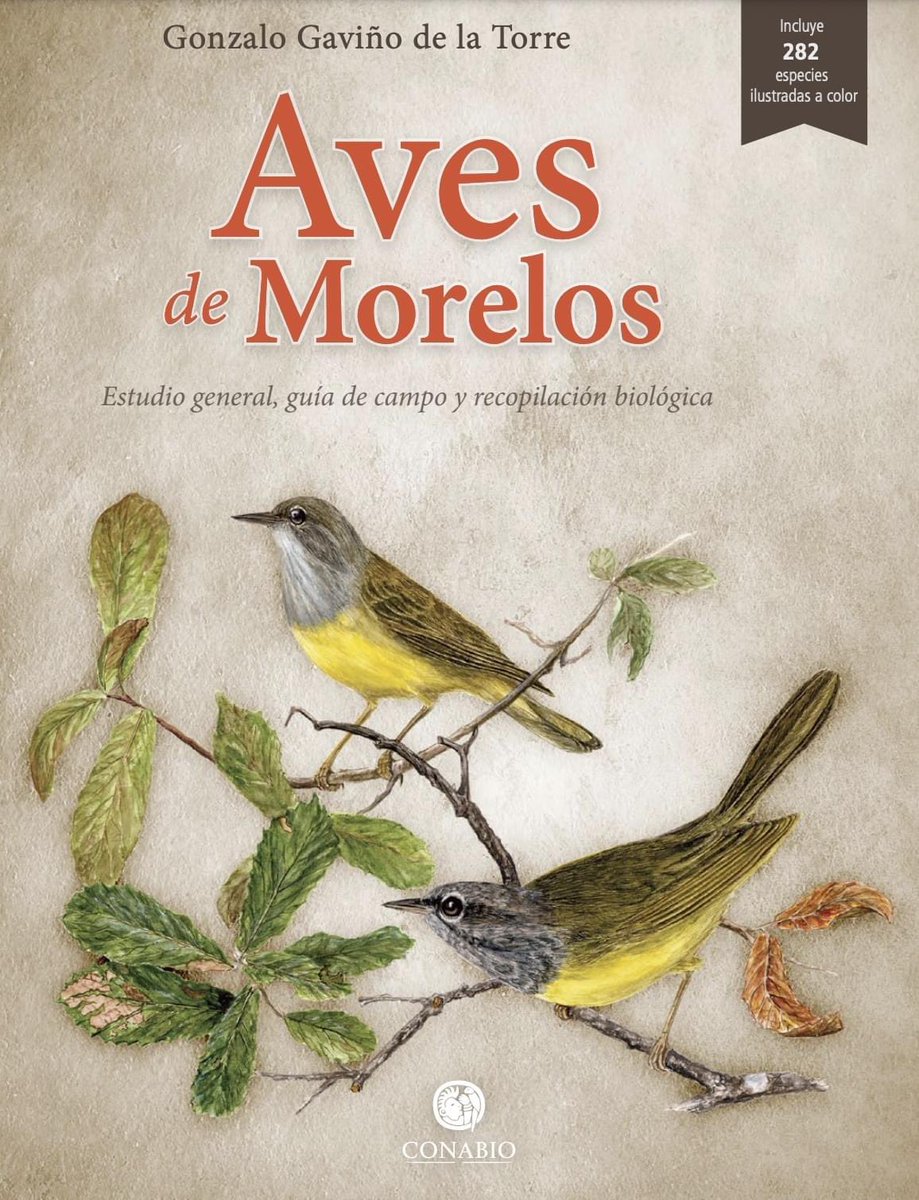 CONABIO's tweet photo. 🤓¿Ya conoces la BIOTECA? 🧐
Un espacio en donde podrás encontrar muchos libros para descargar completamente gratis.
Visítala en: https://t.co/UxD8AjoKFJ https://t.co/qDqQKUP88v
