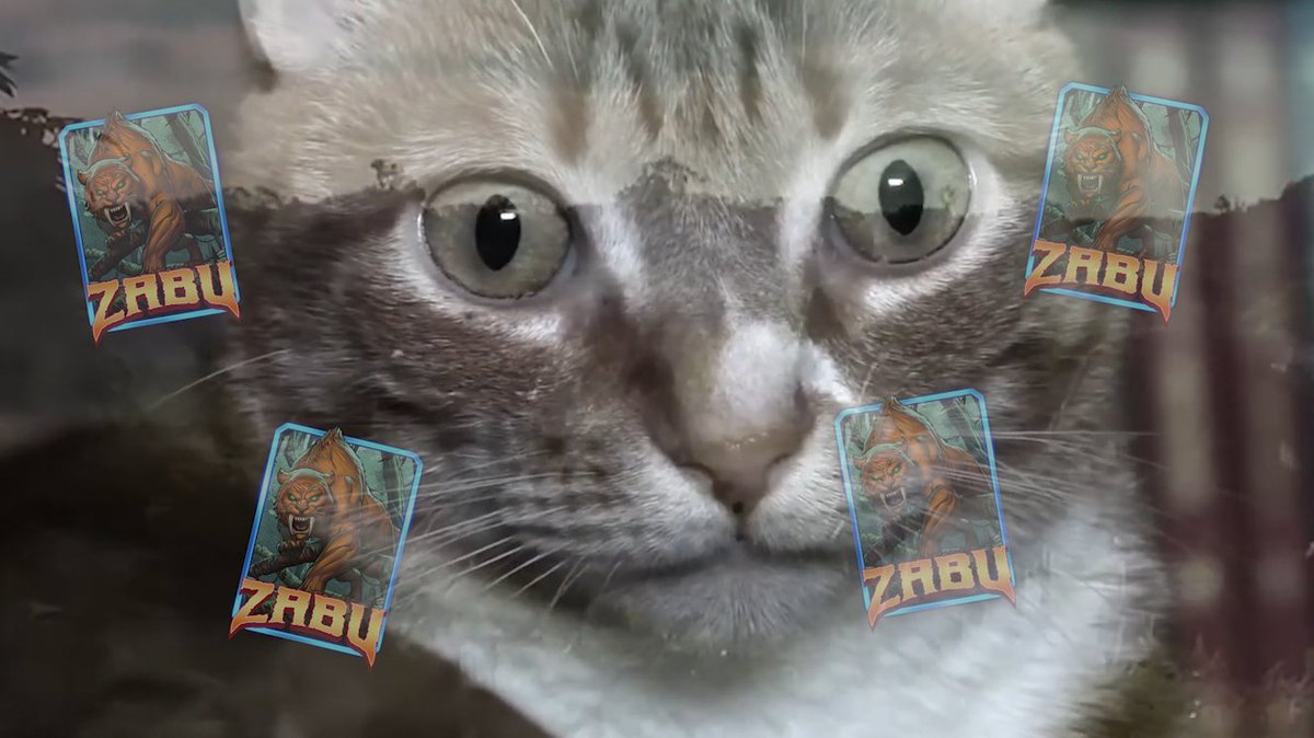 ZombiesGoNomNom tweet media