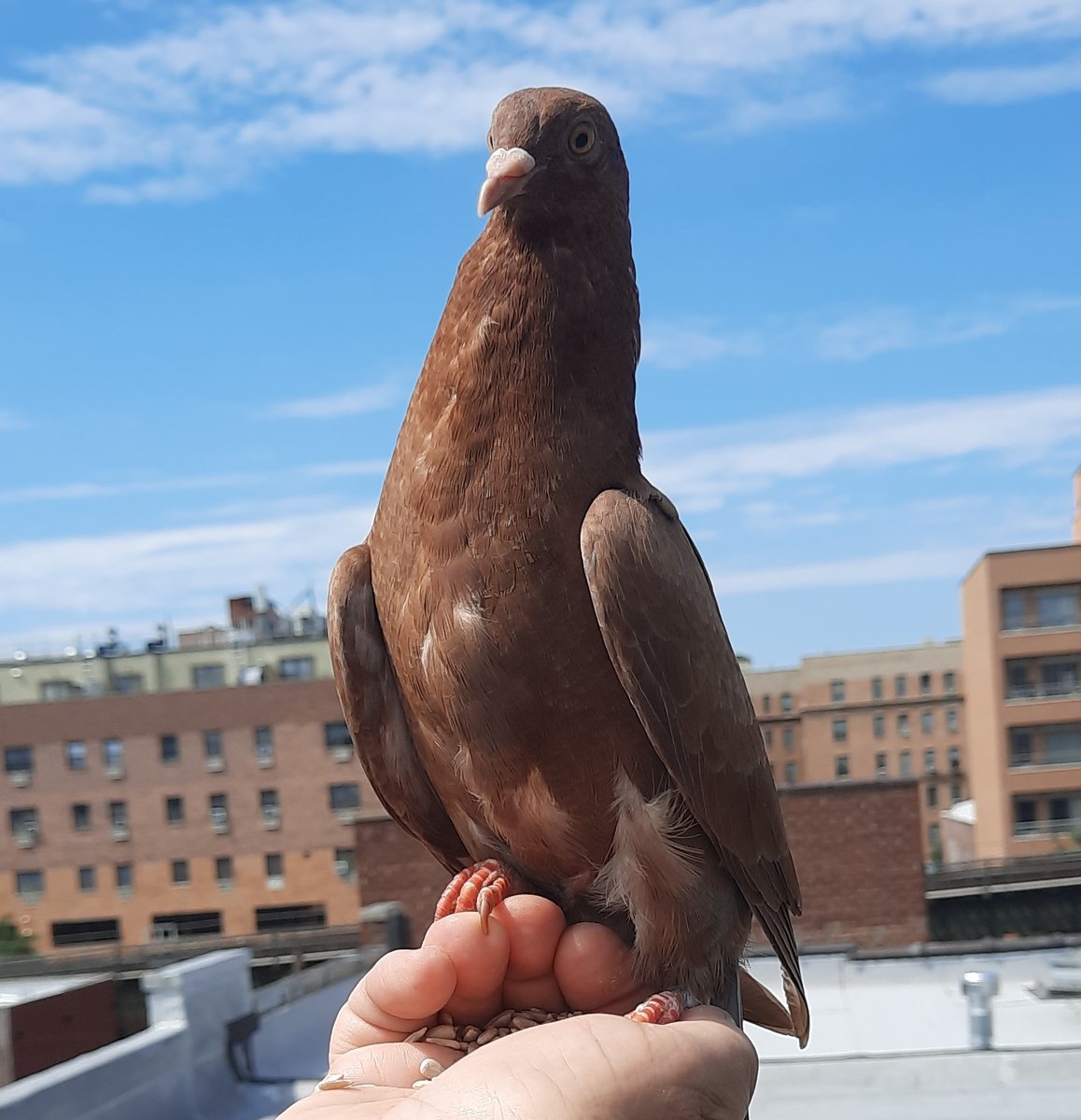 Peter Moskos tweet media