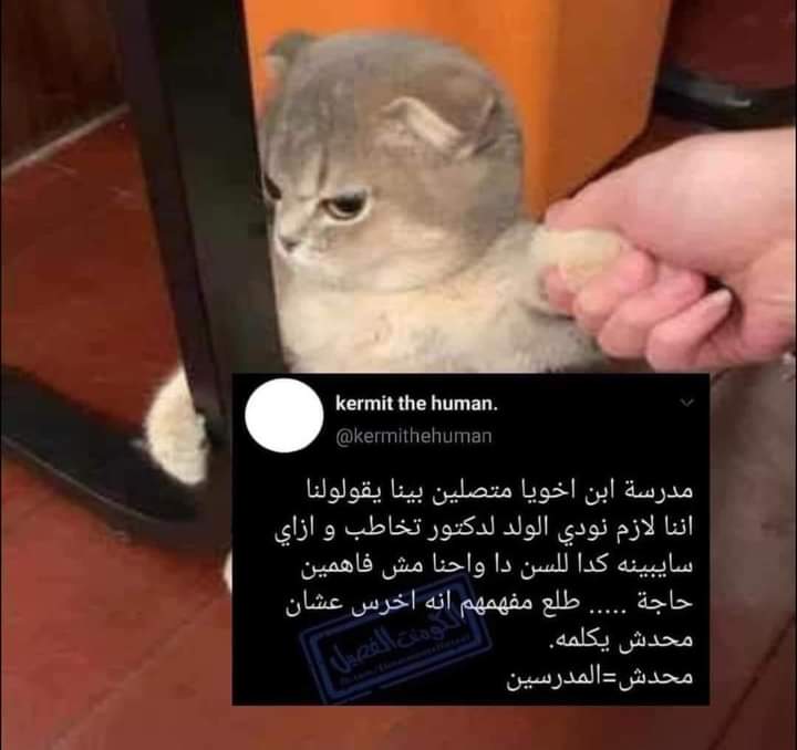 arabmemesss's tweet photo. https://t.co/2kPmmisXYa