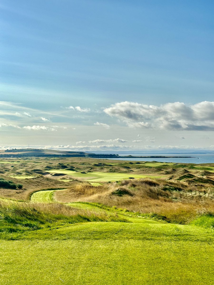 Grahame Taylor tweet media