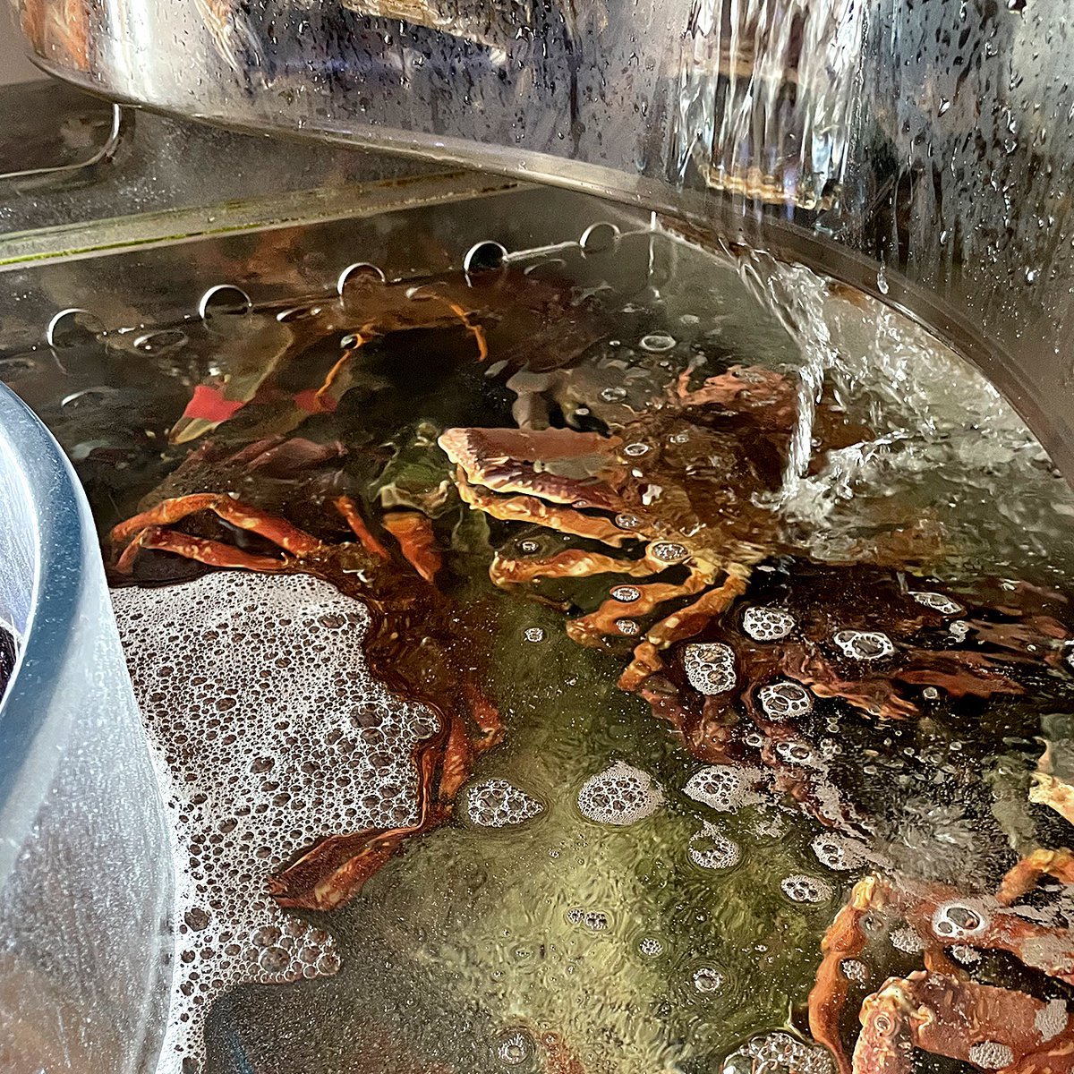 A Cofradía de Rinlo (@cofradiaderinlo) on Twitter photo 