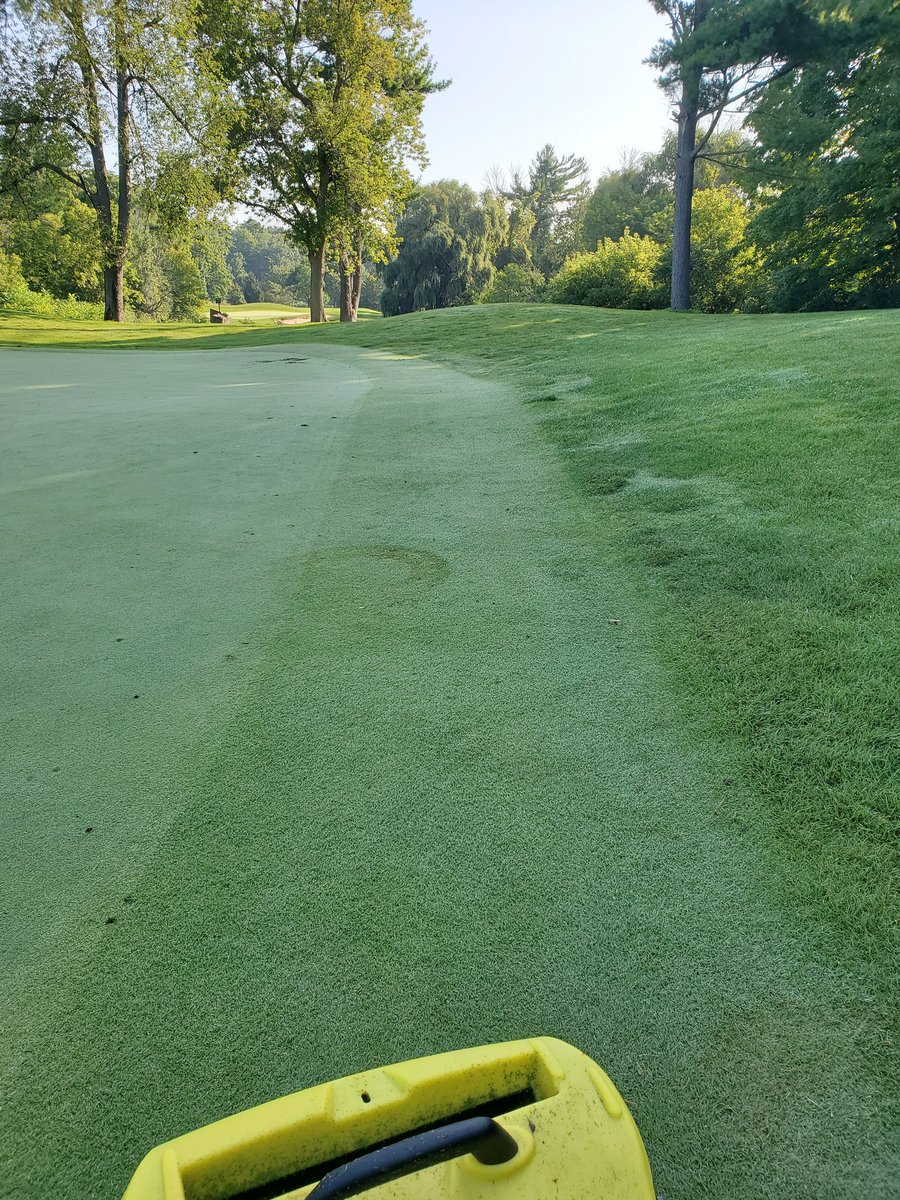 Phil Song tweet media