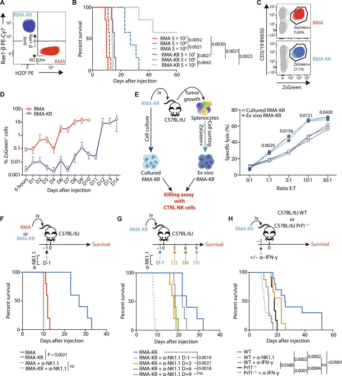 Waggoner Lab (@labwaggoner) on Twitter photo NK cell reactivity decreases rapidly upon activation by tumor cells, independently of immune checkpoints <a href="/ScienceAdvances/">Science Advances</a> <a href="/ThierryWalzer/">Thierry Walzer</a>
science.org/doi/10.1126/sc… NK cell reactivity decreases rapidly upon activation by tumor cells, independently of immune checkpoints <a href="/ScienceAdvances/">Science Advances</a> <a href="/ThierryWalzer/">Thierry Walzer</a>
science.org/doi/10.1126/sc…