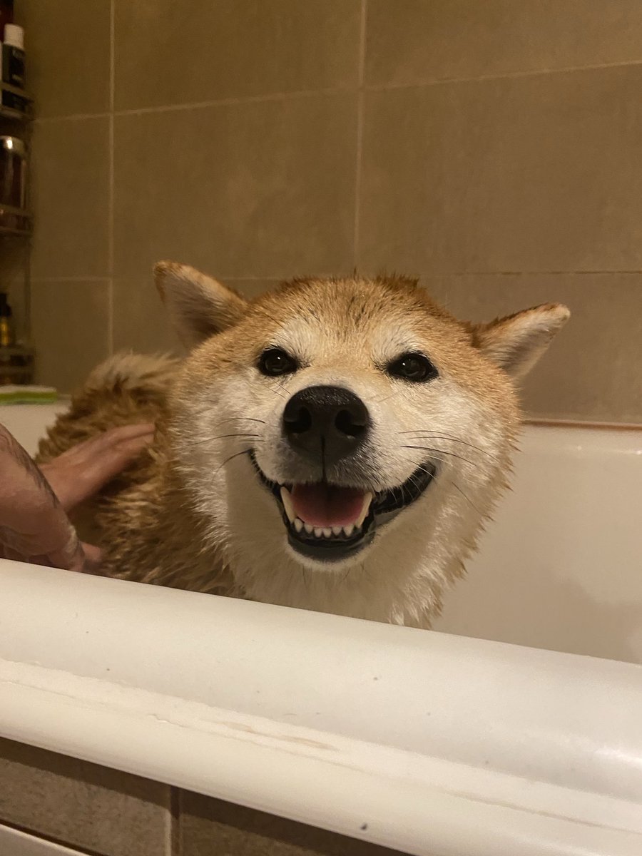 My face playing this meta 😋
Trinkets are super fun so far!