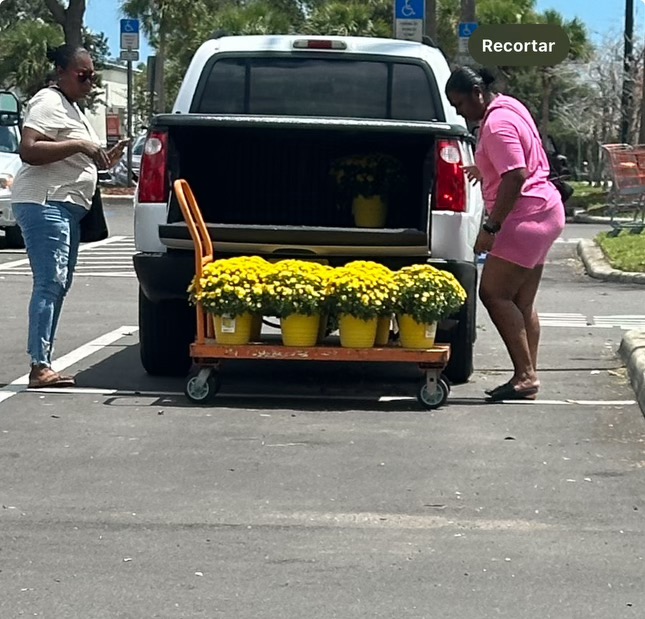 Gary Murphy tweet media