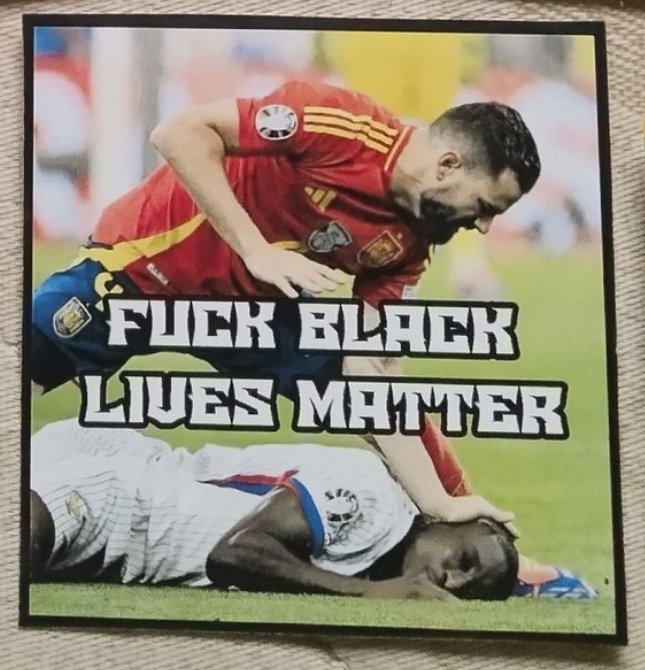 PegatinasPatria's tweet photo. FVCK BLACK LIVES MATTER! https://t.co/n8syr4phBA