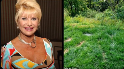 <a href="/NotHoodlum/">Hoodlum 🇺🇸</a> L - Ivana pre-Trump  

R - Ivana post-Trump presidency