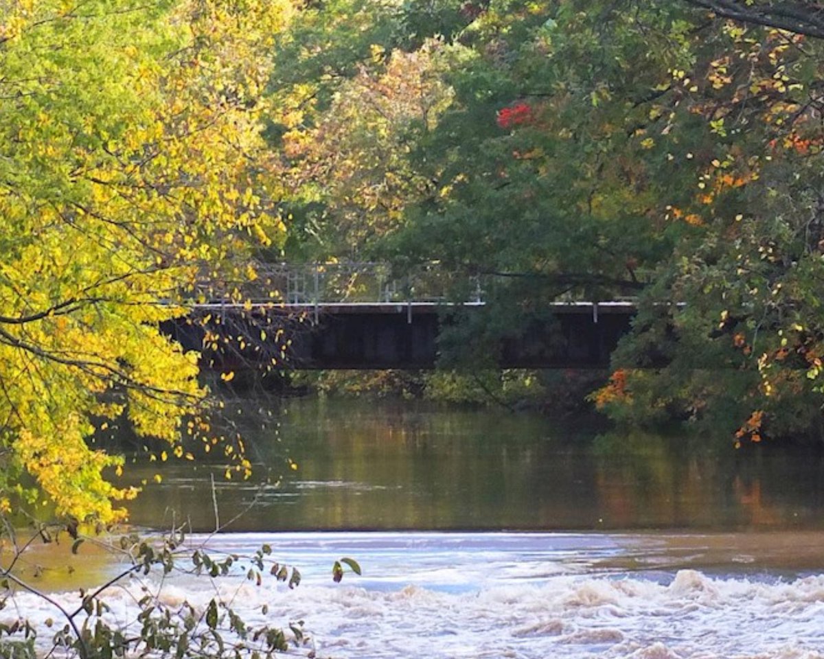 The U.S. Global Change Research Program is doing the 1st National Nature Assessment, and has picked 4 MSU researchers to author and lead sections. To read more, click here: spr.ly/6013Y5aLc