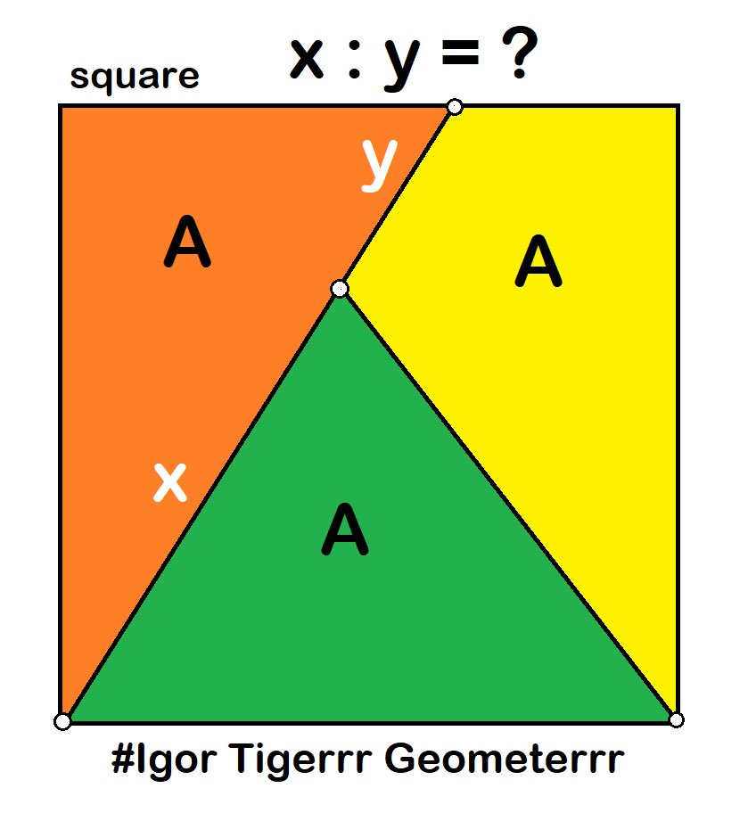 Igor Tigerrr Geometerrr tweet media