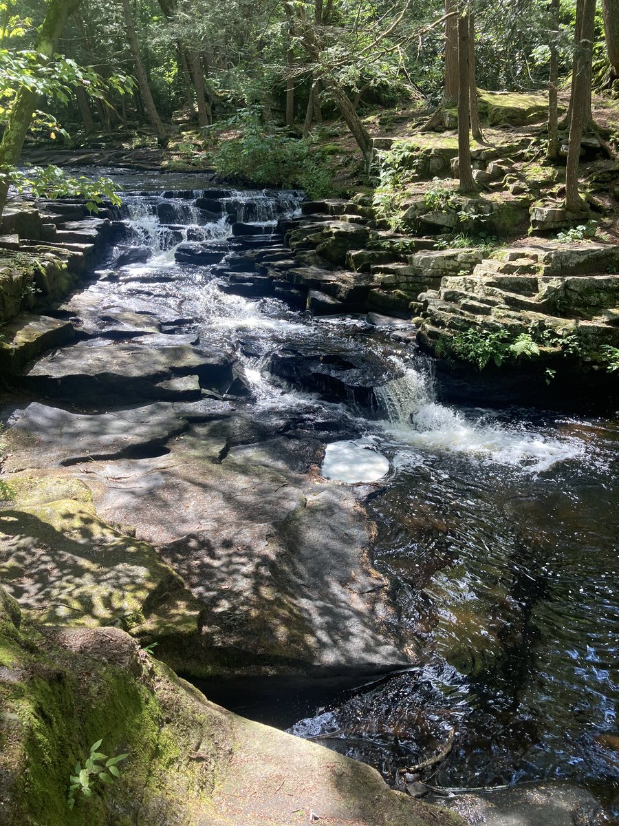 Suzan Jackson tweet media