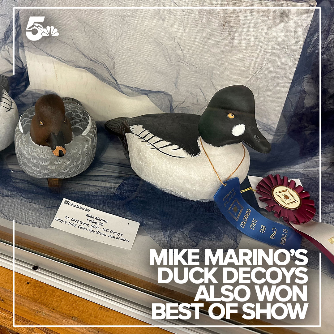 KOAA's tweet image. A Pueblo youth pastor won first place at the Colorado State Fair! 

Mike Marino's duck decoys also won Best of Show. 

Hear his story: tinyurl.com/3kyyjuu8 

#coloradostatefair #duckdecoys