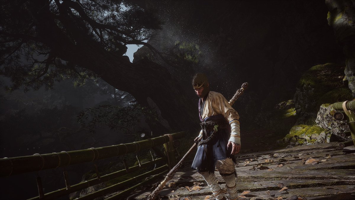 Ninebor_VP's tweet photo. #BlackMythWukong #PS5Share https://t.co/6Jbth8f8PP