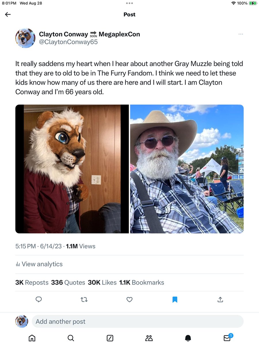 ClaytonConway65's tweet image. I was sitting here giving Clayton a final brushing and this popped up again. I just can’t believe this post has gotten 1.1M views. You guys bring so much joy to and old gray muzzle Lions heart.