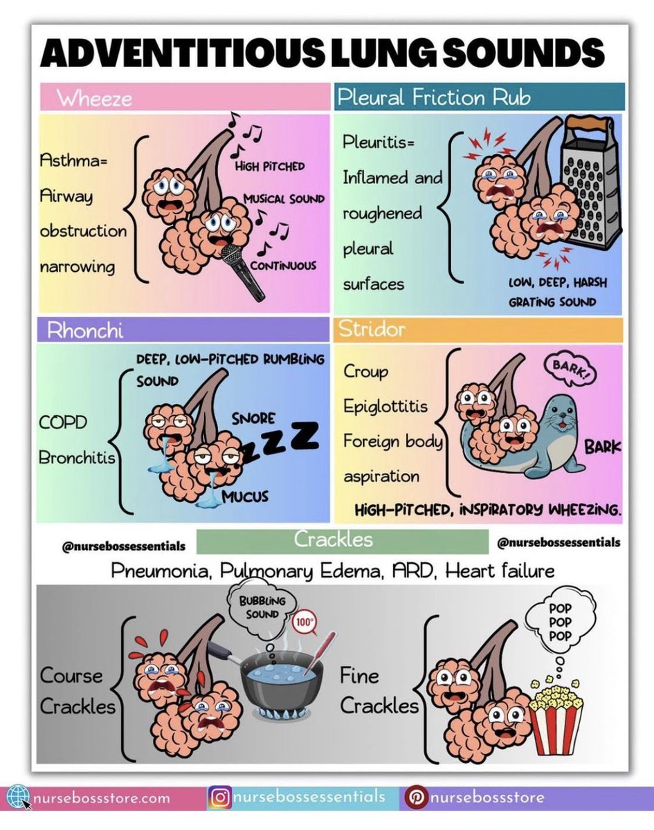 Lung 🫁 sounds