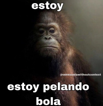 aleggaxu's tweet photo. cuando fokin pagaan mamaguebasea https://t.co/owzldSf6w4