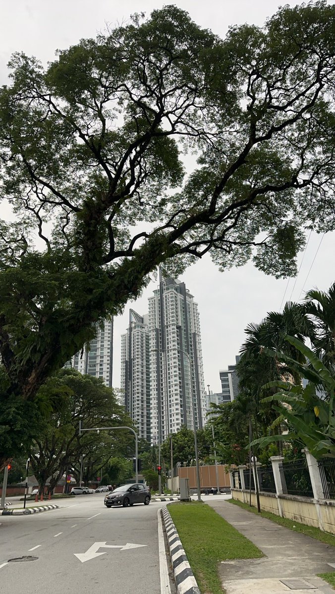 11i5t2's tweet photo. Good morning ☀️ https://t.co/QUCdiw7b22