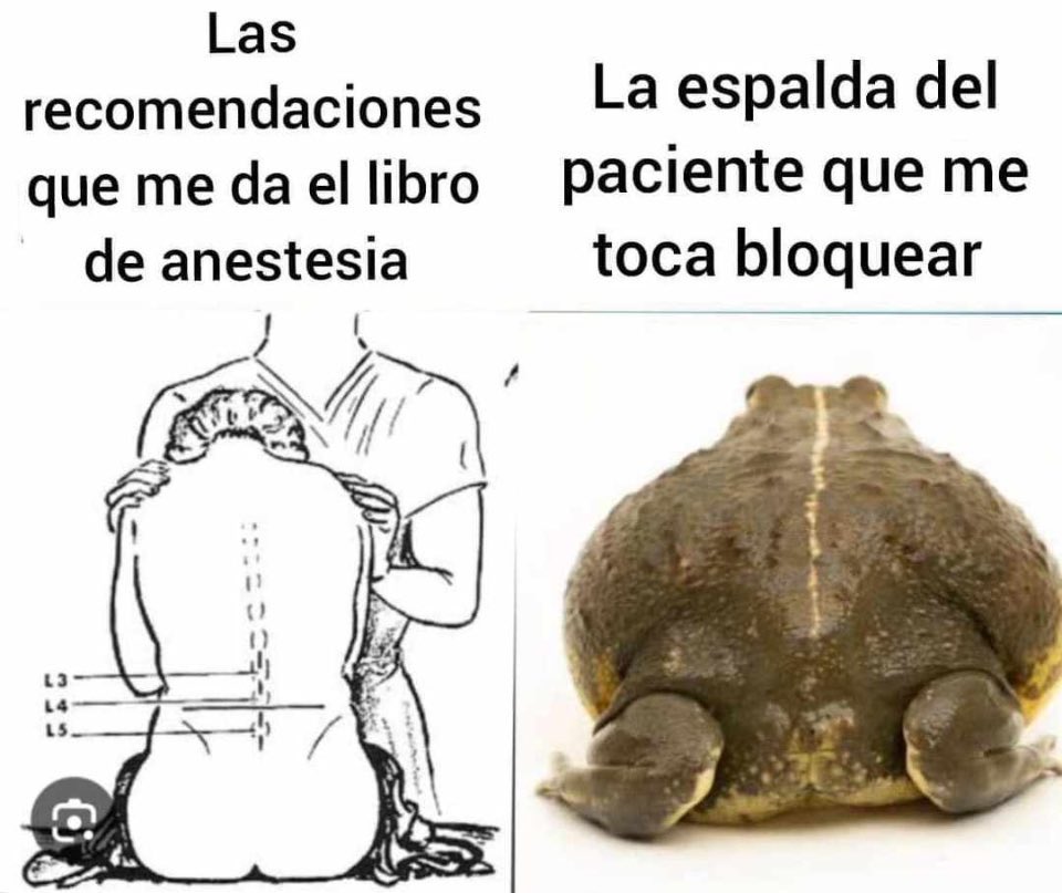 Hice un meme 

(No es un meme)