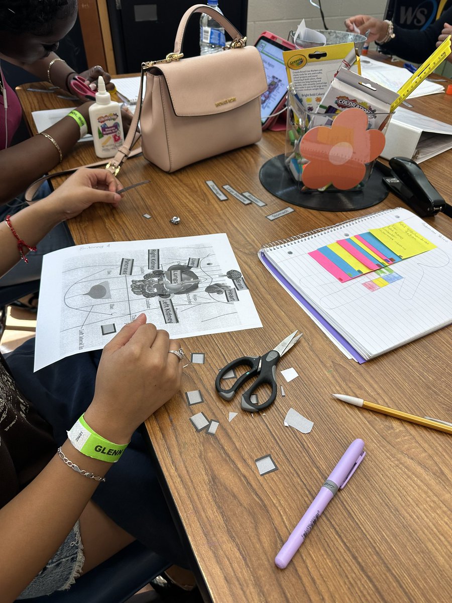 healthedgirl's tweet image. Can you Identify the 9 body regions? With the help of the #anatomagetable #anatomagelessons these #healthscience students can! Today they applied the concepts of organ systems, directional terms &amp;amp; body regions in a cut &amp;amp; paste activity #ghsbobcatnation @Anatomage @WSFCSCTE #wsfcs