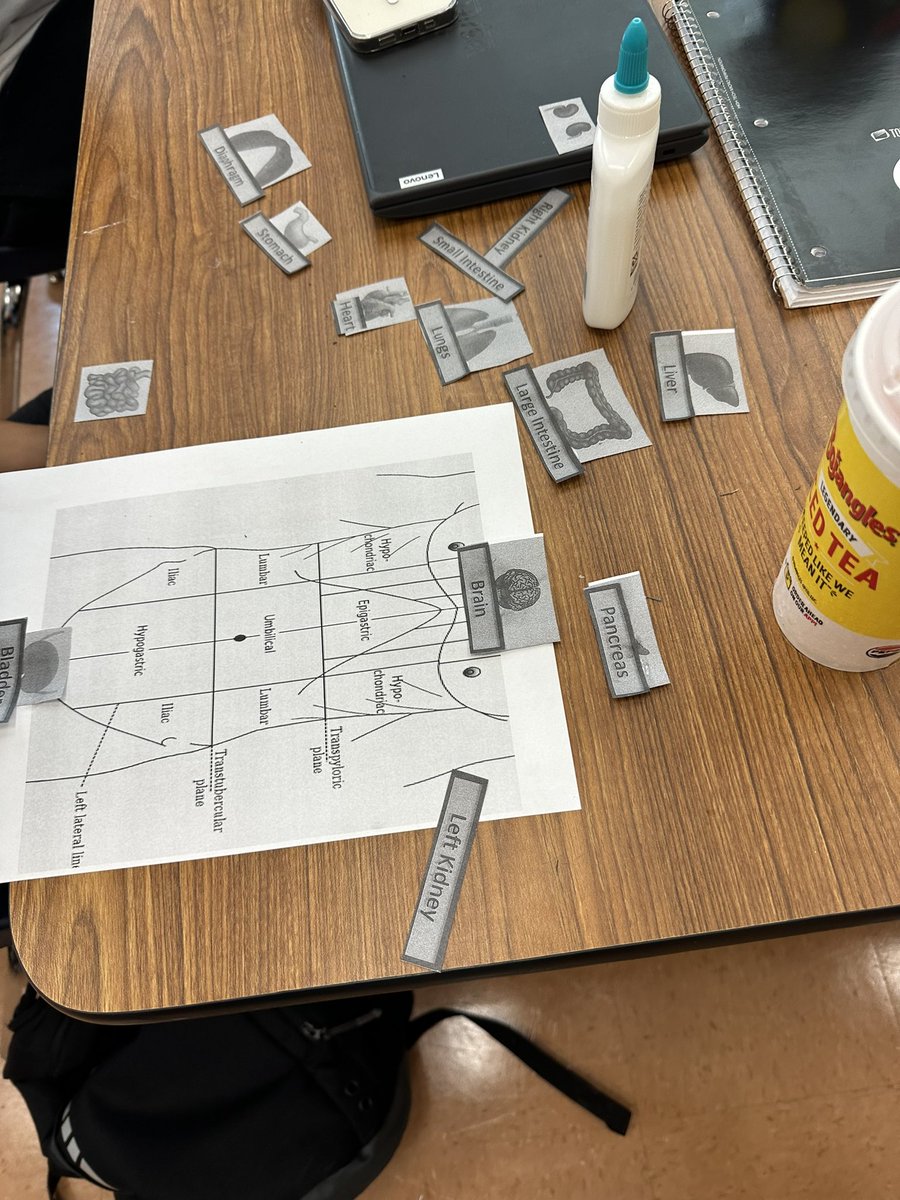 healthedgirl's tweet image. Can you Identify the 9 body regions? With the help of the #anatomagetable #anatomagelessons these #healthscience students can! Today they applied the concepts of organ systems, directional terms &amp;amp; body regions in a cut &amp;amp; paste activity #ghsbobcatnation @Anatomage @WSFCSCTE #wsfcs
