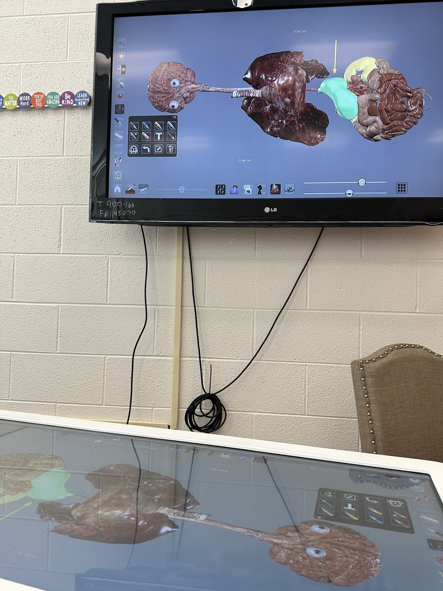 healthedgirl's tweet image. Can you Identify the 9 body regions? With the help of the #anatomagetable #anatomagelessons these #healthscience students can! Today they applied the concepts of organ systems, directional terms &amp;amp; body regions in a cut &amp;amp; paste activity #ghsbobcatnation @Anatomage @WSFCSCTE #wsfcs