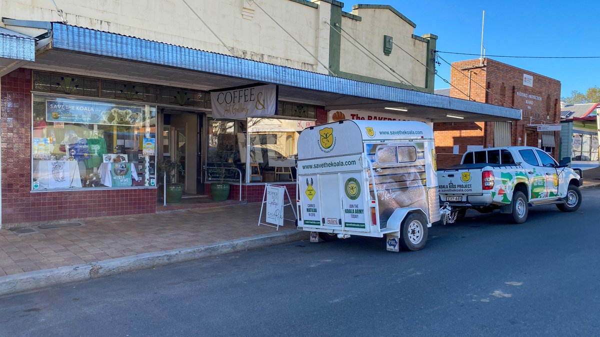Our mobile Save the Koala Shop has left for Canberra! Make sure to stop by in King’s Park 🐨 

Join the #KoalaArmyMarch for #CreaturesGreatandSmall in #Canberra on September the 1st: savethekoala.com/koala-army/