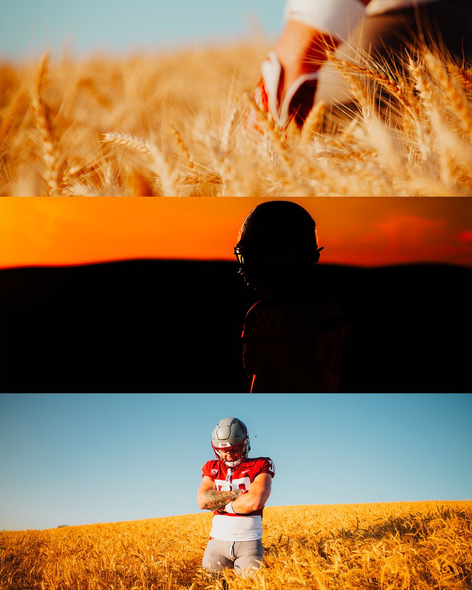 WSUCougarFB's tweet image. Is this heaven? No, this is Pullman