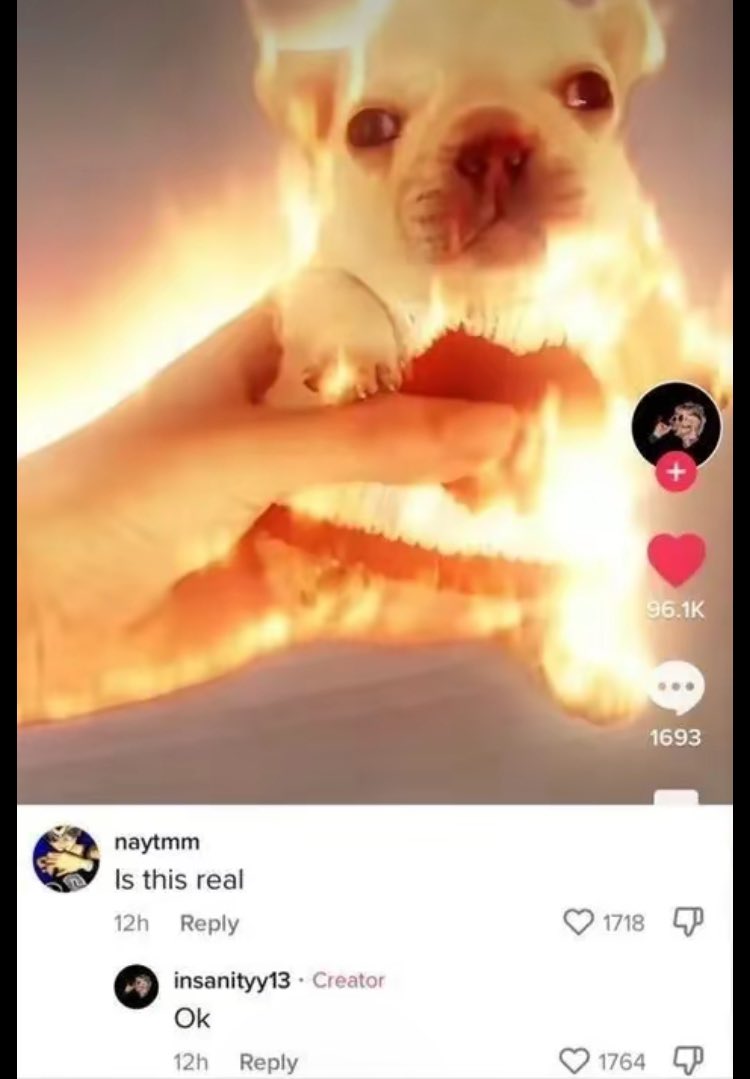 Apollo Justice. ☀️ (@justicenlawz) on Twitter photo 