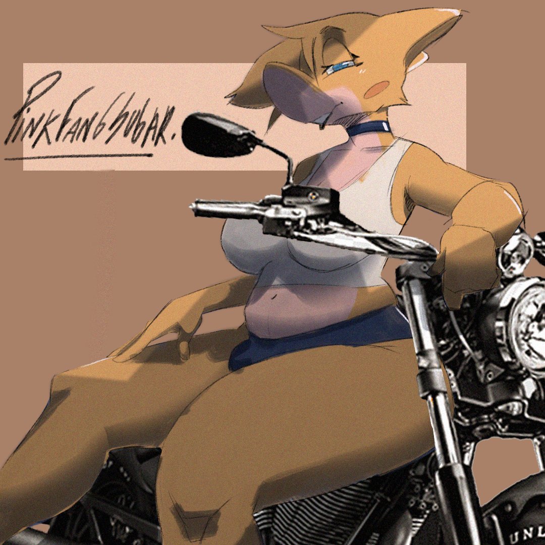 PinkFangSugar tweet media