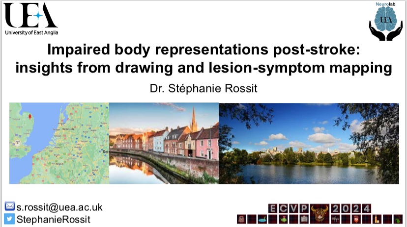 Dr Stephanie Rossit 🧠👀🖐 tweet media