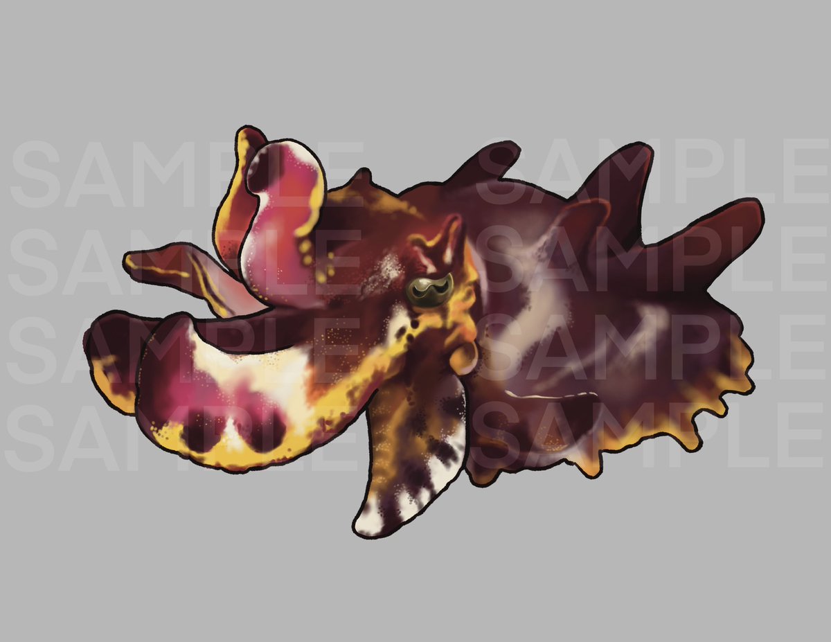 0b2d64's tweet photo. Flamboyant Cuttlefish
Will be selling it as sticker at some point maybe https://t.co/i8cWQCm3oF
